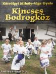 Kincses Bodrogköz