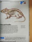 National Geographic June 2012