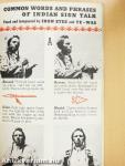 How Indian Sign Talk in Pictures