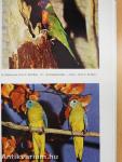 Vogelpracht in Zucht und Pflege