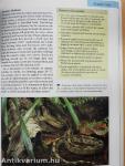 The Questions & Answers Manual of Reptiles and Amphibians