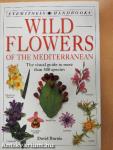 Wild Flowers of the Mediterranean