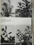 The Complete Guide to Water Plants