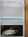 The Illustrated Encyclopedia of Aquarium Fish