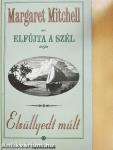 Elsüllyedt múlt
