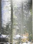 Wir Bergler haben Weitblick