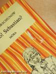 Halló! Sebastian?