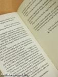 Baka István és Martin Heidegger találkozása a Molnár és a Tápai utca sarkán