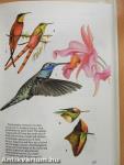Ornamental Birds