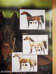 Learn to draw Horses