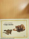 Csupa macska
