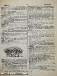 Webster's New Ideal Dictionary