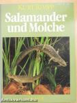 Salamander und Molche