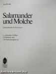 Salamander und Molche