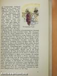 Das Buch vom Ungarwein
