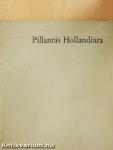 Pillantás Hollandiára