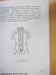 Élj 100 évet egészségesen a "3-1-2" meridiángyakorlatokkal - CD-vel