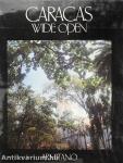Caracas Wide Open