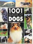 1001 images of dogs