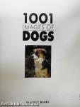 1001 images of dogs