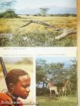 Afrika