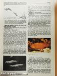 The Aquarium Encyclopedia