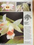 The Illustrated Directory of House Plants