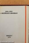 1918-1919 a mezőcsáti járásban (minikönyv) (számozott)