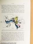 Chirurgische Anatomie