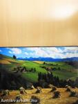 Schweiz - Suisse - Switzerland