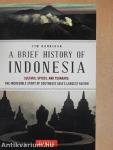 A Brief History of Indonesia
