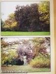 Tiszakürti Arborétum