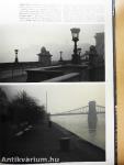 Buda, Danubio, Pest