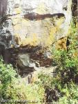Ancient Art of the Amur Region