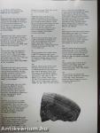 Ancient Art of the Amur Region