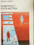Égbenyúló kockakövek