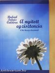 A nyitott egzisztencia