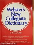 Webster's New Collegiate Dictionary