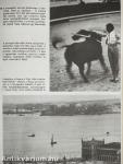 Fiúk Évkönyve 1974
