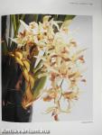 Growing Orchids
