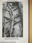 Mesolithic Prelude