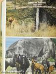Among Animals of Africa