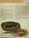 Érdekes gépek