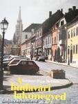 A budavári lakónegyed