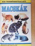 Macskák