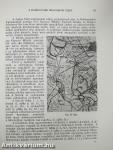 Dolgozatok a M. Kir. Ferencz József Tudományegyetem Archaeologiai Intézetéből 1930. VI/1-2.