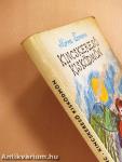 Kincskereső kisködmön