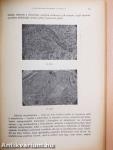 A Magyar Tudományos Akadémia Kémiai Tudományok Osztályának Közleményei 1952/1-4.