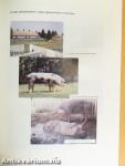 Hungapig Tenyésztési Évkönyv 1993.