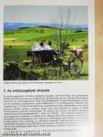 Erdőszegélyek létesítése és ápolása